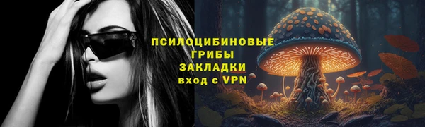 спиды Арсеньев