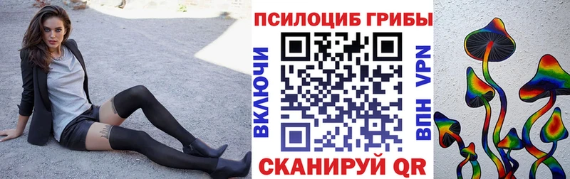 mega ТОР  Кировск  Галлюциногенные грибы Magic Shrooms  купить наркотик 