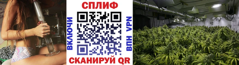 Канабис SATIVA & INDICA Кировск